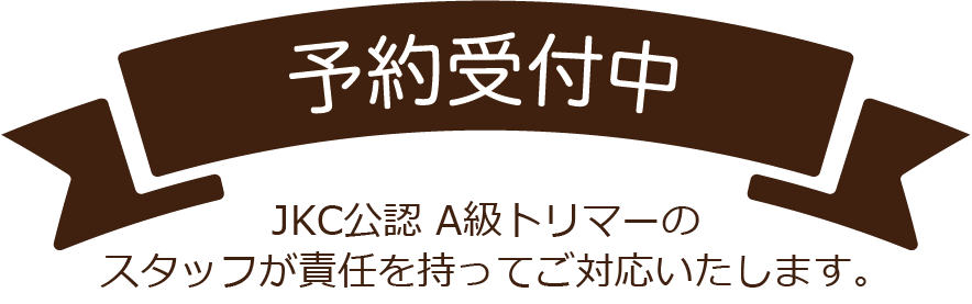 予約受付中　JKC公認 A級トリマーのスタッフが責任を持ってご対応いたします。