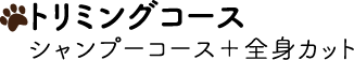 シャンプーコース+全身カット