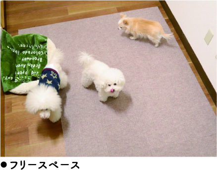 フリースペース