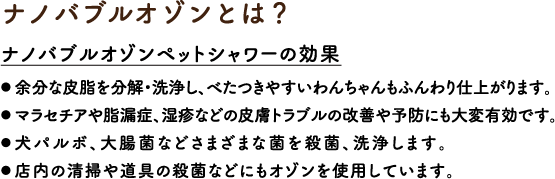 ナノバブルオゾンとは？