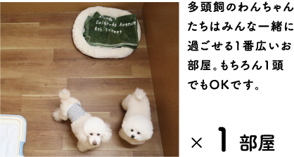 多頭飼のわんちゃんたちはみんな一緒に過ごせる1番広いお部屋。もちろん1頭でもOKです。