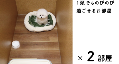 1頭でものびのび過ごせるお部屋