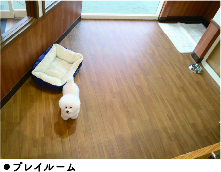 プレイルーム